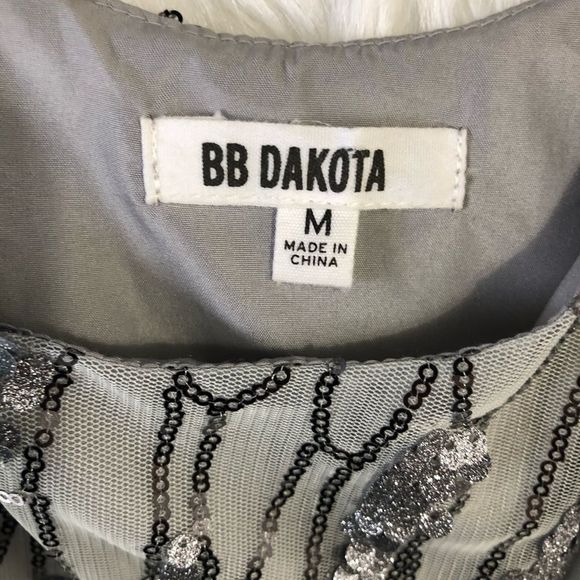 BB Dakota Roselynn Silver Sequin Shift Dress - Picture 9 of 9